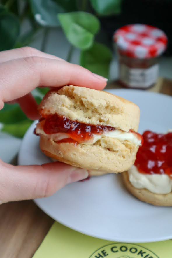 Sweet Plain Scones - Gluten Free & Vegan - Box of 4 - The Cookie Lass