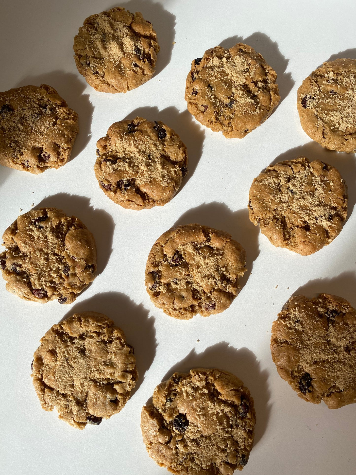 Welsh Cake Cookie - Gluten Free & Vegan - Box of 4